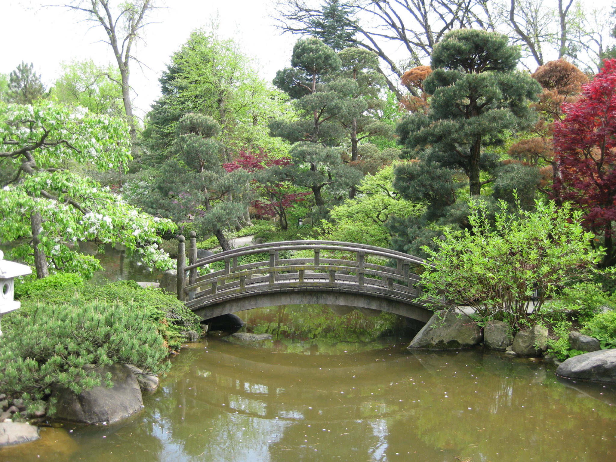 Anderson Japanese Gardens Rotary Botanical Gardens