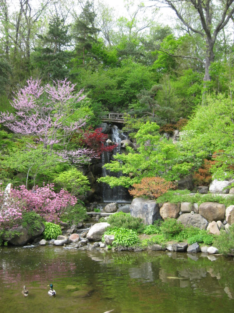 Anderson Japanese Gardens Rotary Botanical Gardens