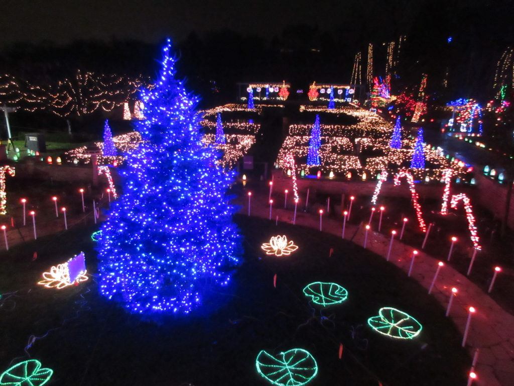Holiday Light Show 19 Days Left Rotary Botanical Gardens
