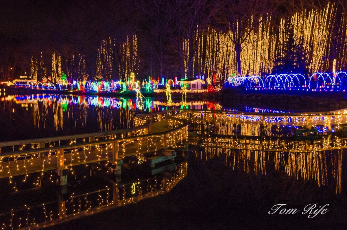 Holiday Light Show - Rotary Botanical Gardens