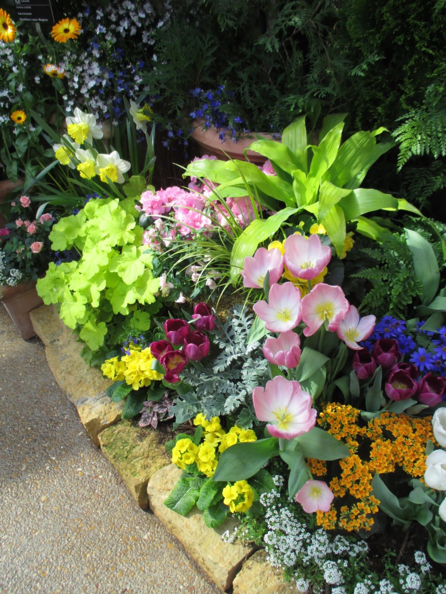 awesome spring flower show - olbrich - rotary botanical gardens
